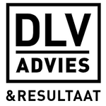 DLV Advies