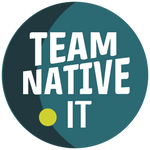 Team Native IT B.V.