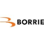 Borrie Belastingadviseurs B.V.
