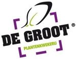 Kwekerij J.A. de Groot BV