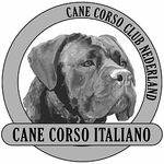 Cane Corso Club Nederland