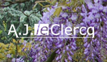 A.J. le Clercq B.V.