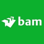 BAM Telecom