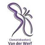 Clematiskwekerij Van der Werf B.V.