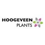 Hoogeveen Plants