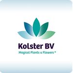 Kolster B.V.