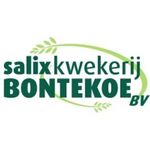 Salixkwekerij Bontekoe B.V.