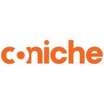 Coniche IN consultancy & projects B.V.