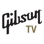 Gibson Europe B.V.