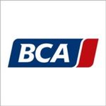 BCA Autoveiling