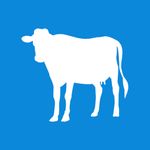 B.V. Boerenverstand
