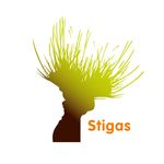 Stigas