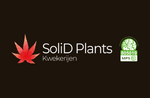 Solid plants