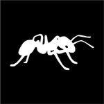 Brandwacht & Meijer B.V.